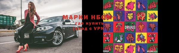 хмурый Алексин