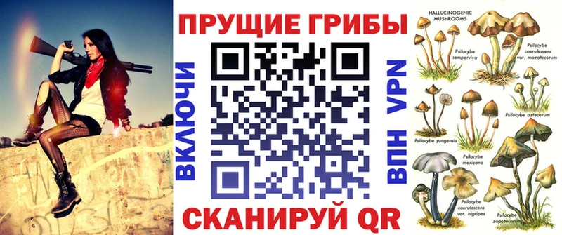 Галлюциногенные грибы Psilocybine cubensis  kraken как зайти  Сыктывкар 