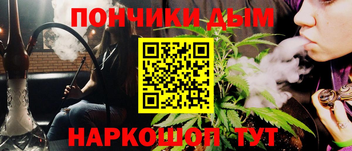 Сыктывкар  Шишки марихуана конопля  Вход с VPN  Шишки марихуана индика  Бошки Шишки Amnesia  Конопля план 